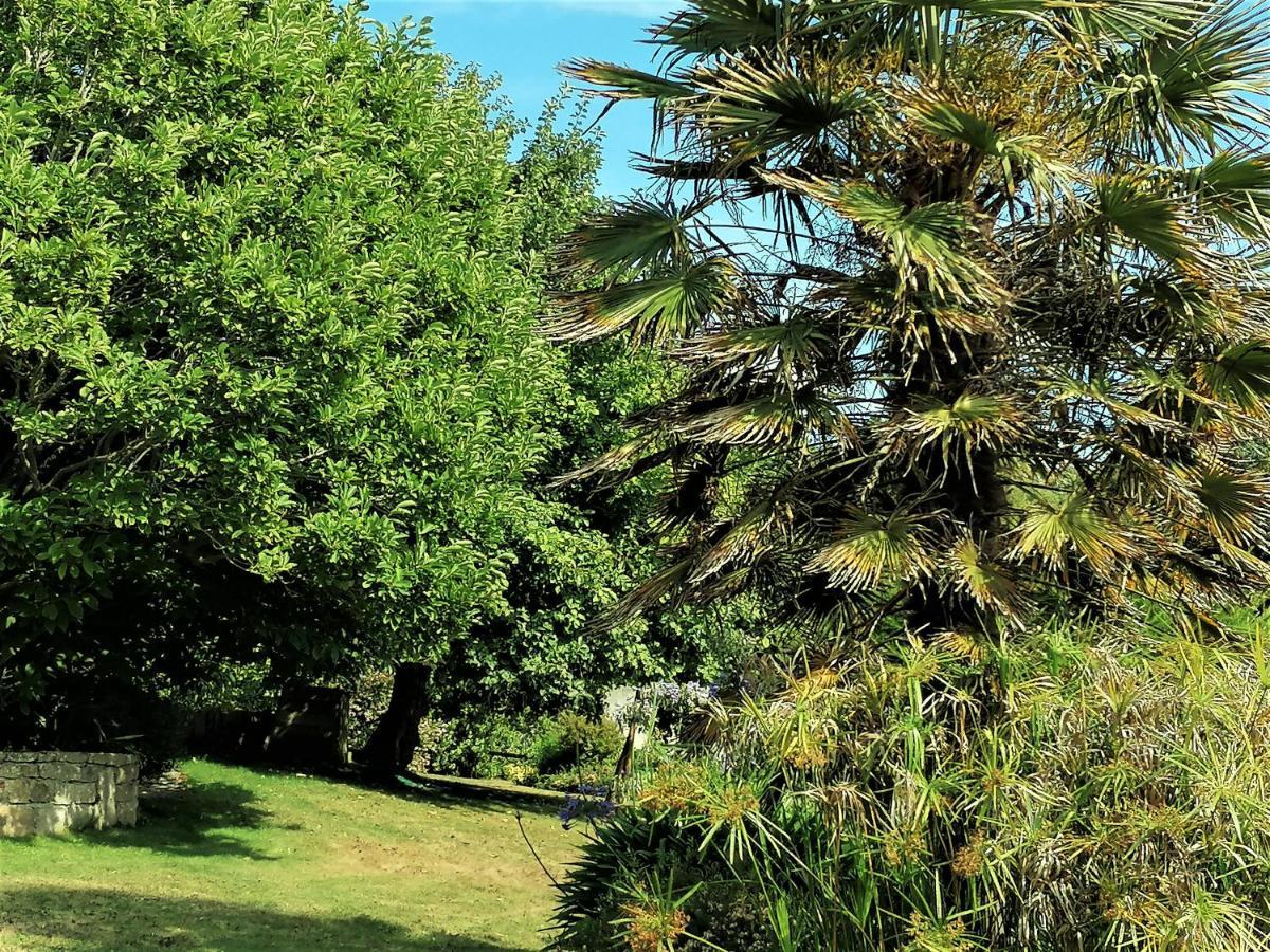 Bed and Breakfast Les Terrasses Du Ris Douarnenez Exteriér fotografie